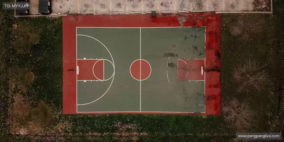 🎯 精准捕捉，不错过任何一个精彩瞬间！